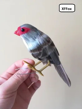 roztomilý reálnom živote Estrilda astrild vták model pena&pierko simulácia živý vták darček asi 12 cm xf0849 - Obrázok 1  