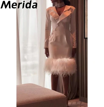 Moderné Ženy Večerné Šaty Dlhé Rukávy tvaru Perie podkolienok Tlačidlá na Zips-Up Elegantné Party Šaty Prom Šaty 2023 - Obrázok 2  