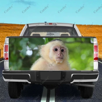 kapucínsky opice Auto samolepky truck zadné ostrohové úpravu maľovanie vhodné pre truck bolesť balení príslušenstvo obtlačky - Obrázok 1  
