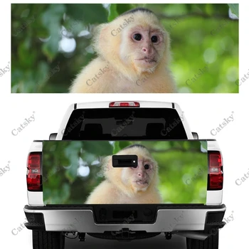 kapucínsky opice Auto samolepky truck zadné ostrohové úpravu maľovanie vhodné pre truck bolesť balení príslušenstvo obtlačky - Obrázok 2  
